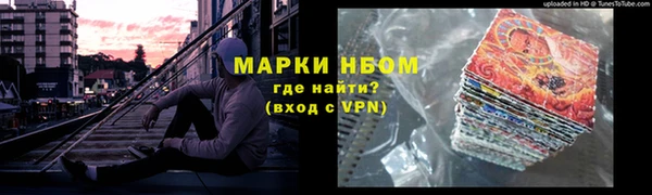 прущие грибы Каменка