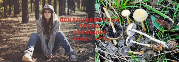 МДМА Белокуриха