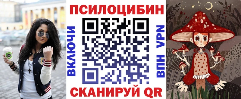 где продают наркотики  Волжск  площадка телеграм  Галлюциногенные грибы Cubensis 